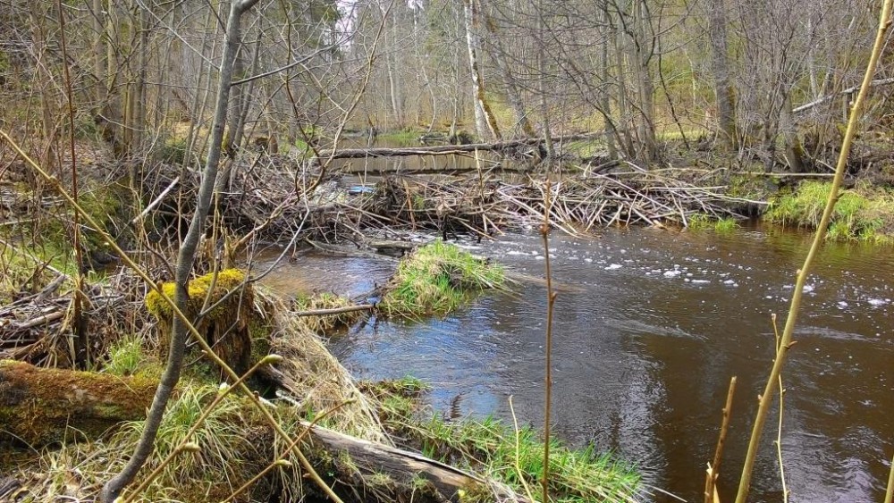 P_20150418_140121.jpg