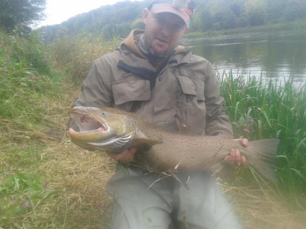 20151002_141611.jpg