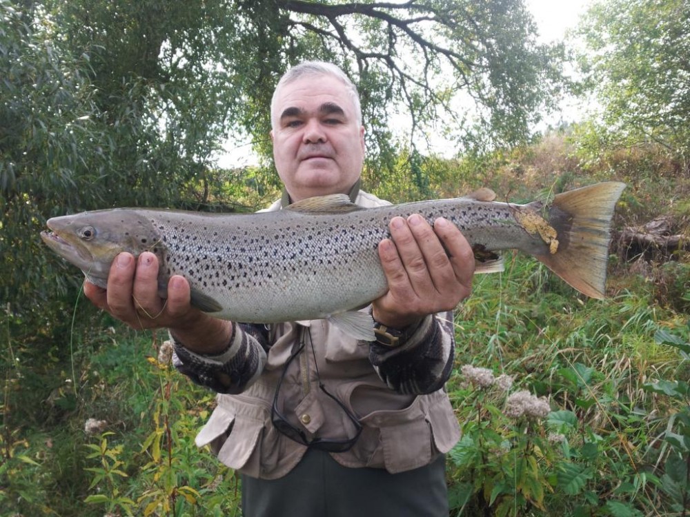 20151004_135449.jpg