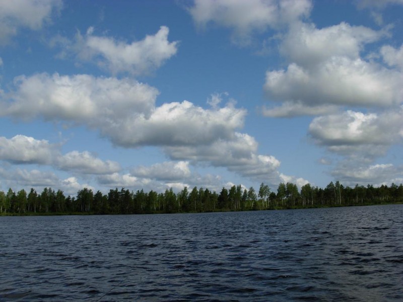 DSCN2110.JPG