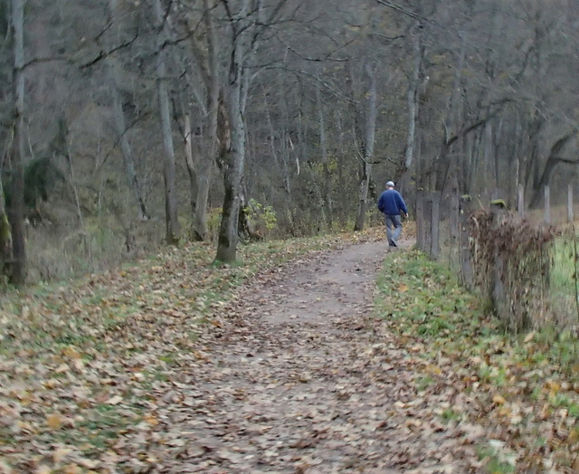 PA271978.JPG