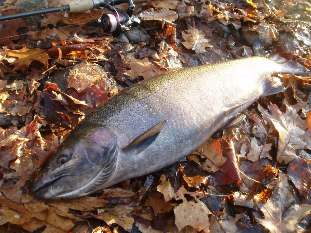 PB090055.JPG