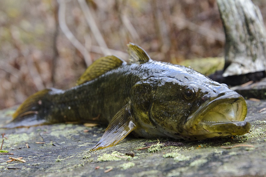 DSC_7158.jpg