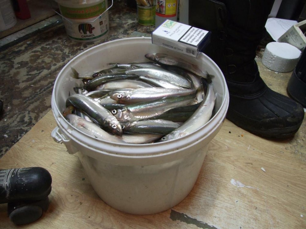 DSCF6248.JPG