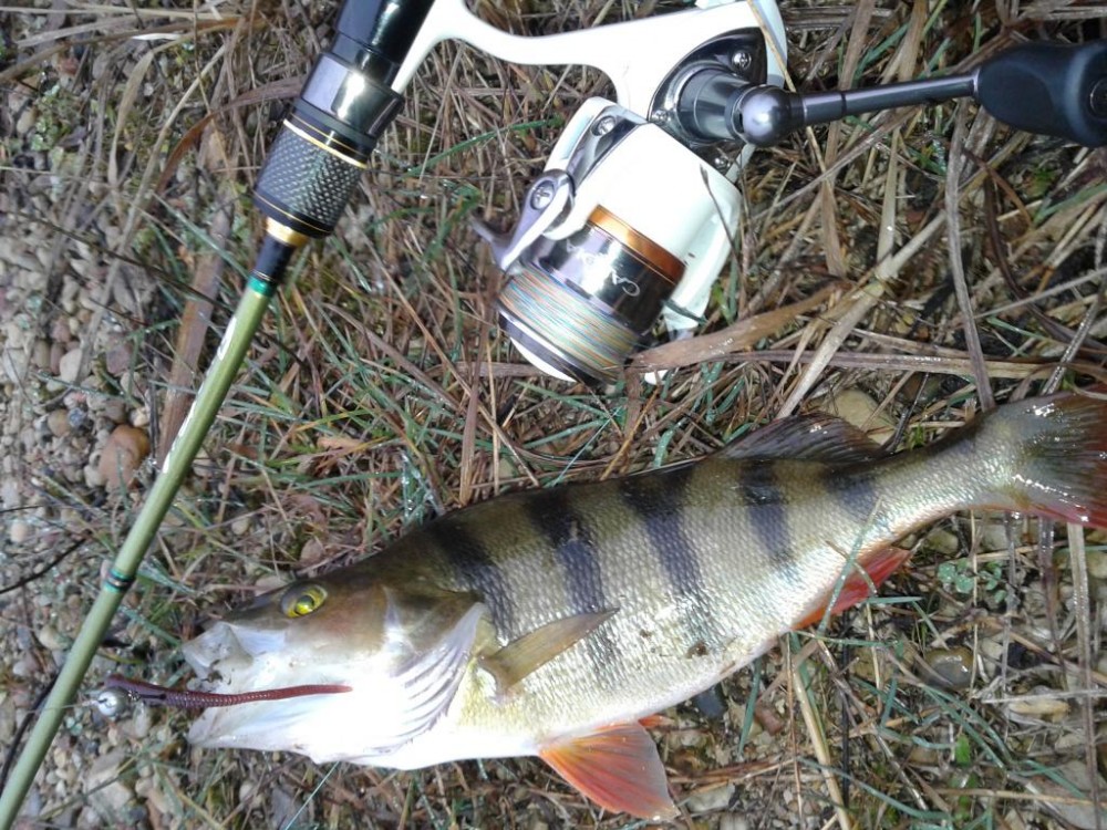 20151220_120132.jpg