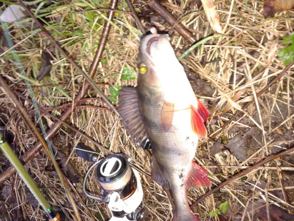20151220_133419.jpg