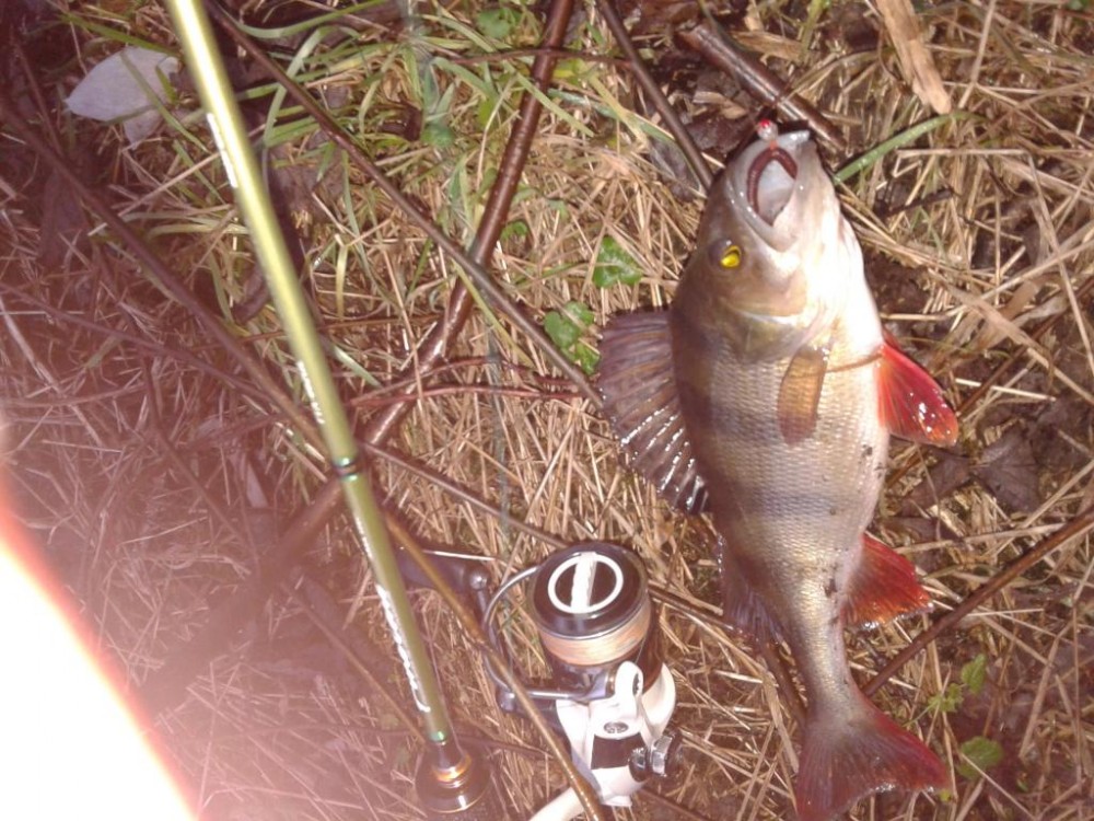 20151220_133427.jpg