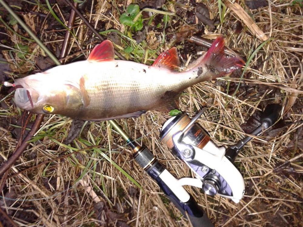 20151220_133813.jpg
