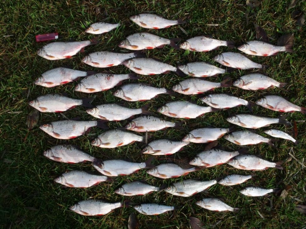 21.11.2015 004.jpg