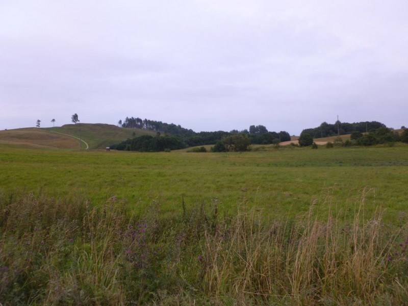 P1040735.JPG