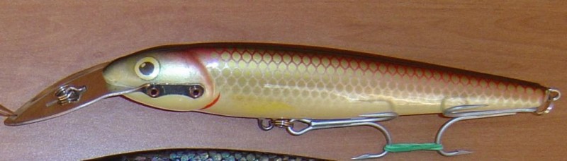 whitefishdid.jpg