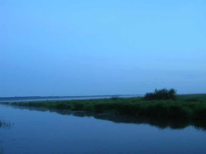 PICT0505.JPG