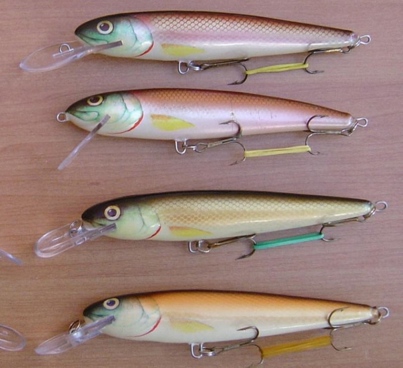 whitefish.jpg