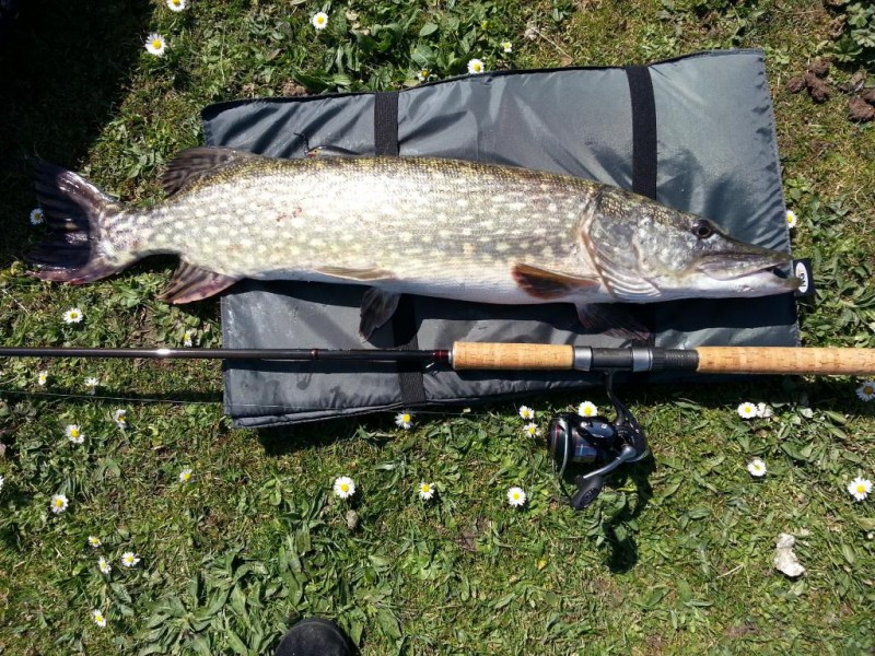 20130423_134459.jpg