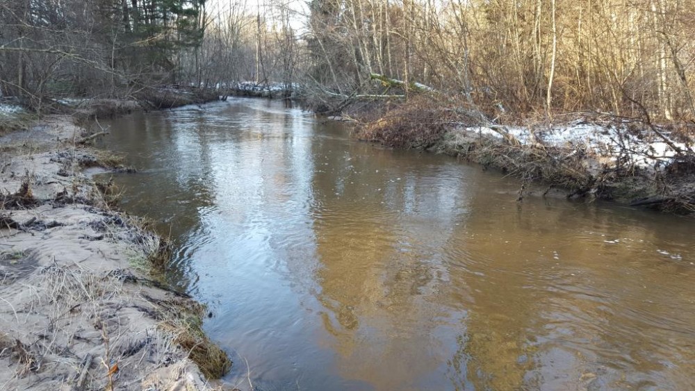 20160205_104424.jpg