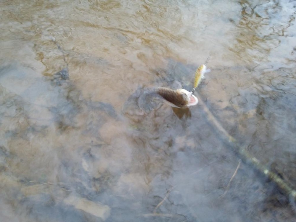 20160213_163005.jpg