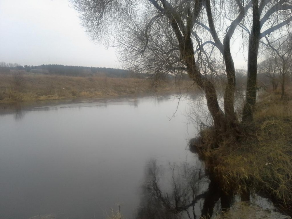 20160303_171826.jpg