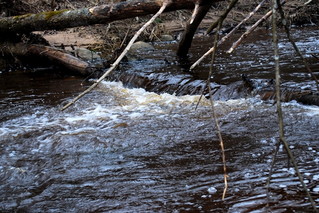 DSC_05481.jpg