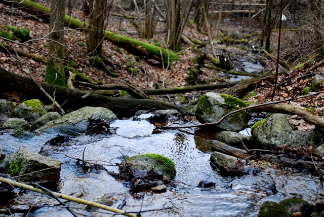 DSC_05401.jpg