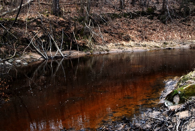 DSC_06651.jpg