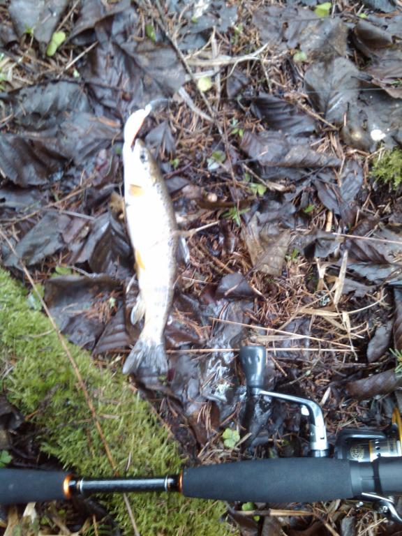 IMG_20160312_142505.jpg