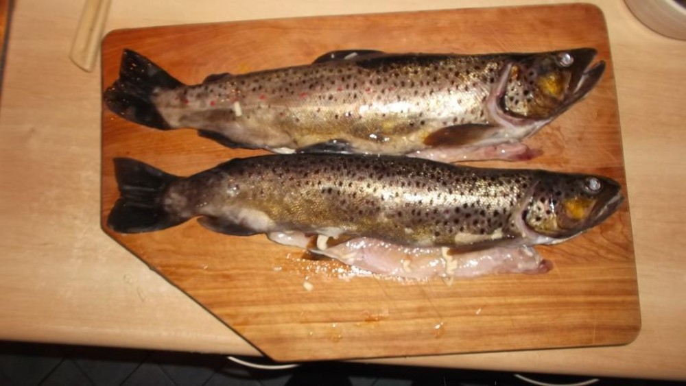 DSCF2316.JPG