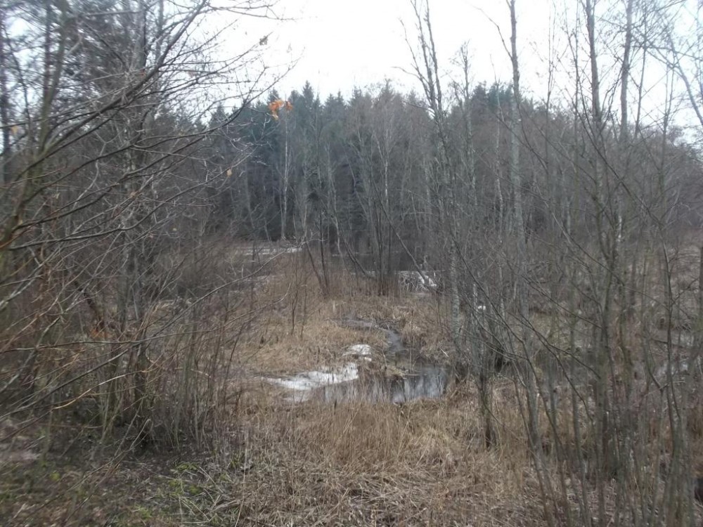 DSCF3893.JPG