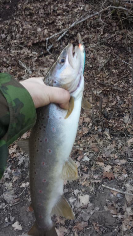 20160321_170133.jpg