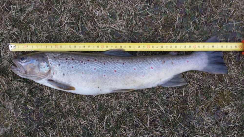 20160321_180831.jpg