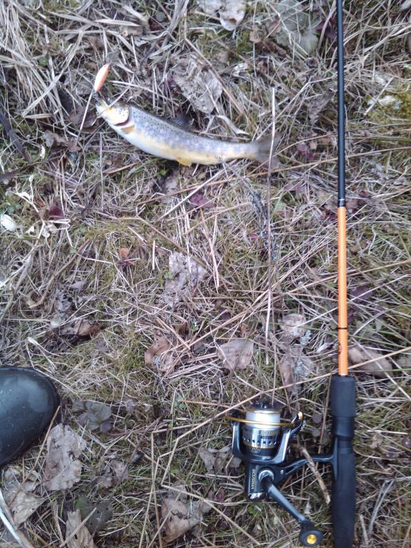IMG_20160326_131243.jpg