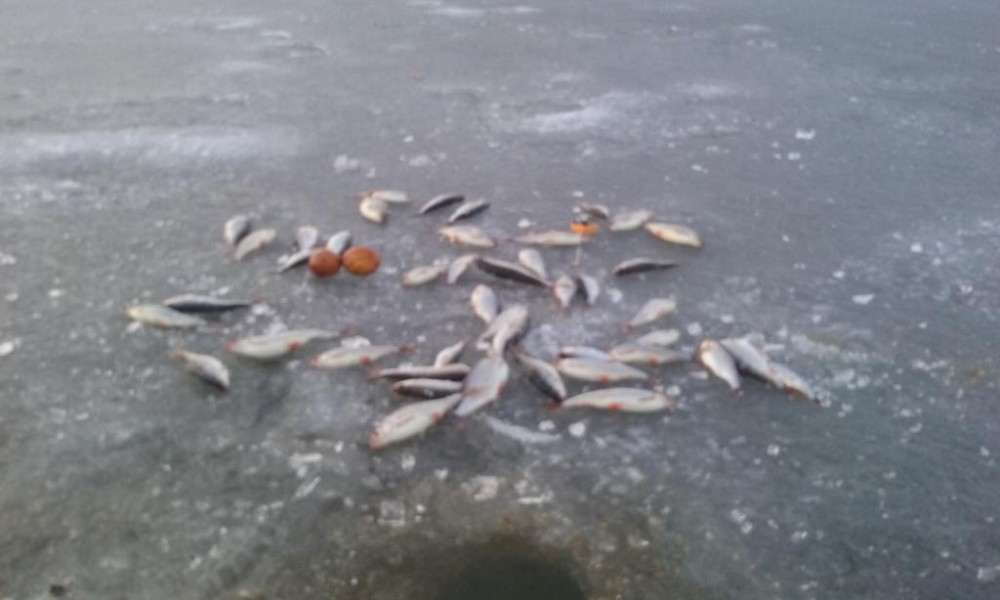 20160327_193226.jpg