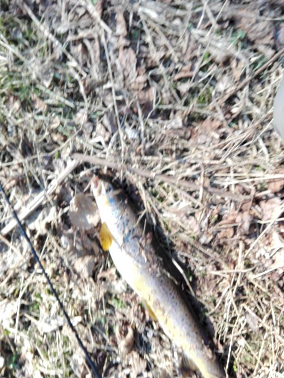 IMG_20160329_145750.jpg
