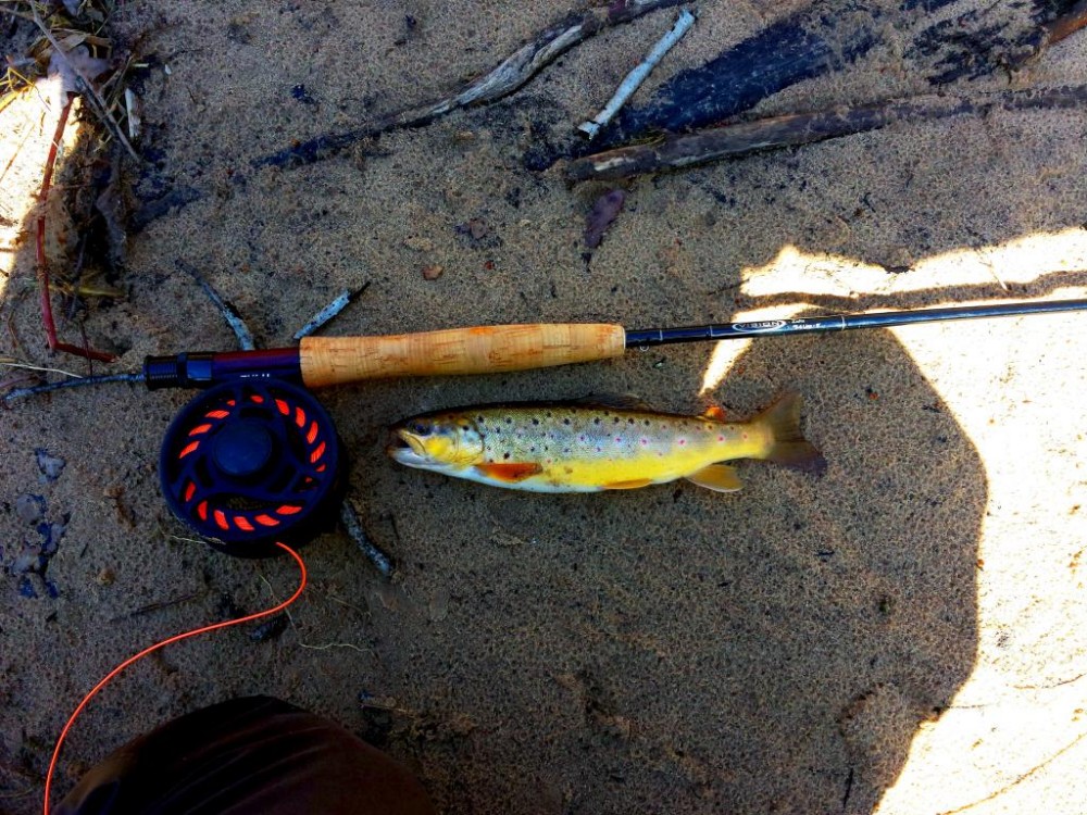 20160331_132115.jpg