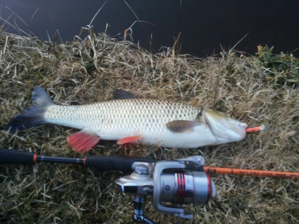 20160327_200357.jpg