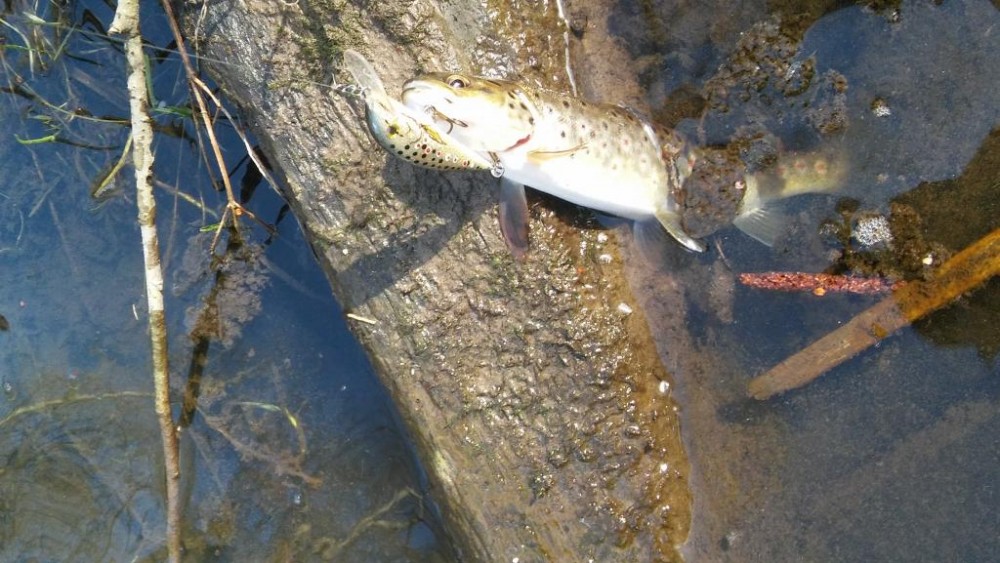 20160402_143939.jpg