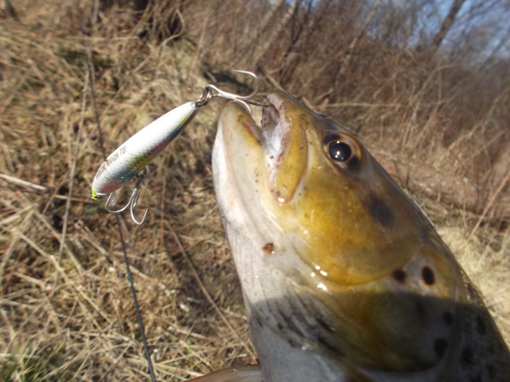 DSCF3906.JPG