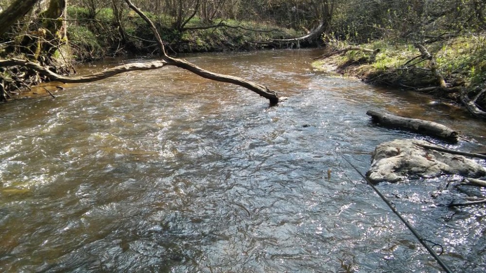 20160416_115657.jpg