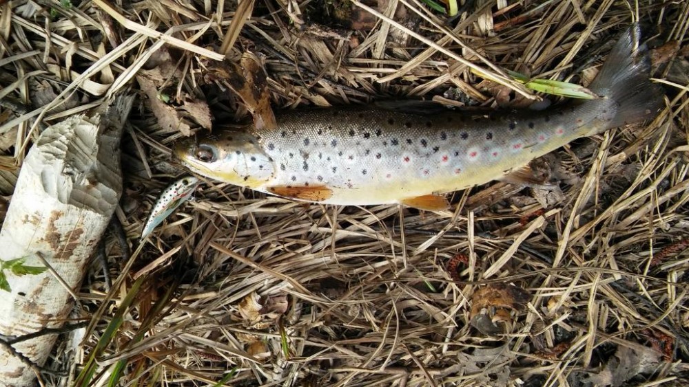 20160416_131736.jpg