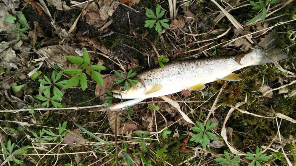 20160416_133041.jpg