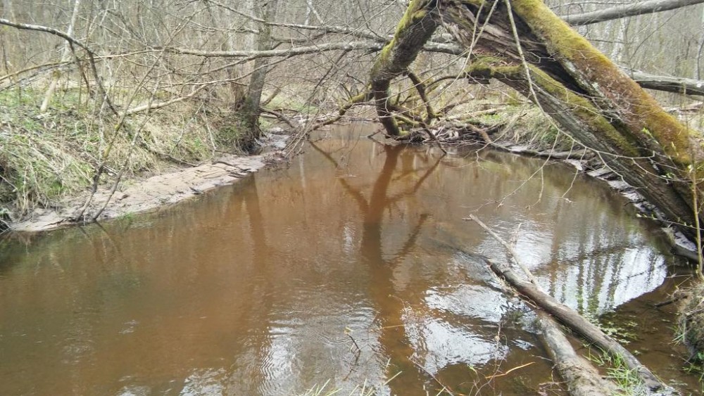 20160416_142736.jpg