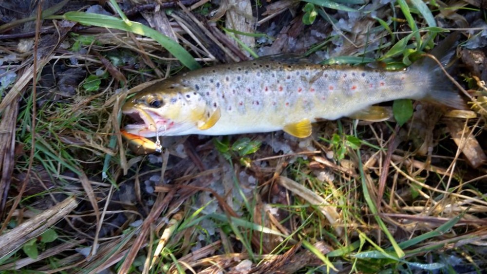 20160419_190833.jpg