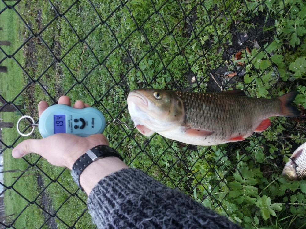 20160424_113026.jpg