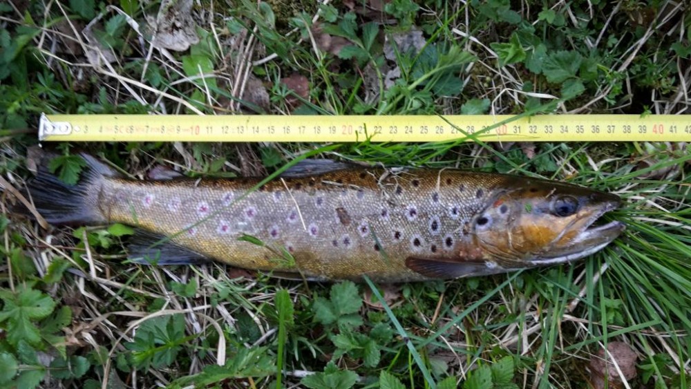 20160505_204127.jpg