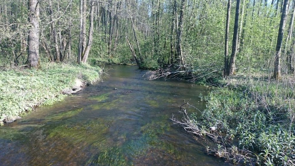 tmp_3003-DSC_0592173292785.JPG