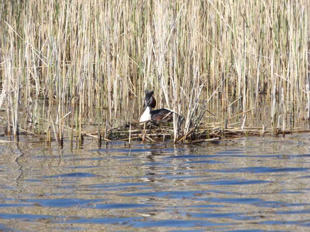 DSCF1261.JPG