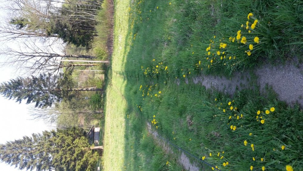 20160508_185755 - Copy.jpg