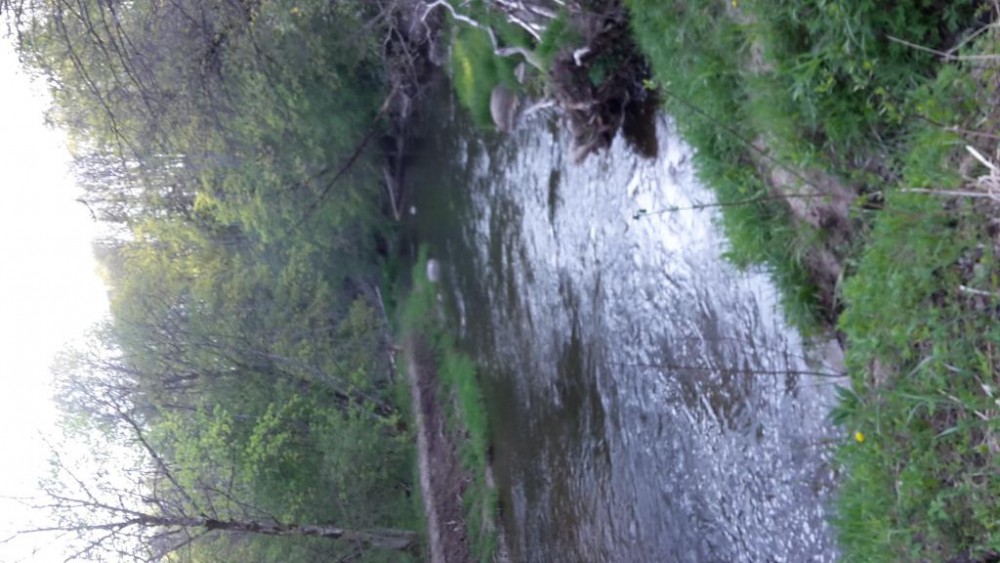 20160508_190130.jpg