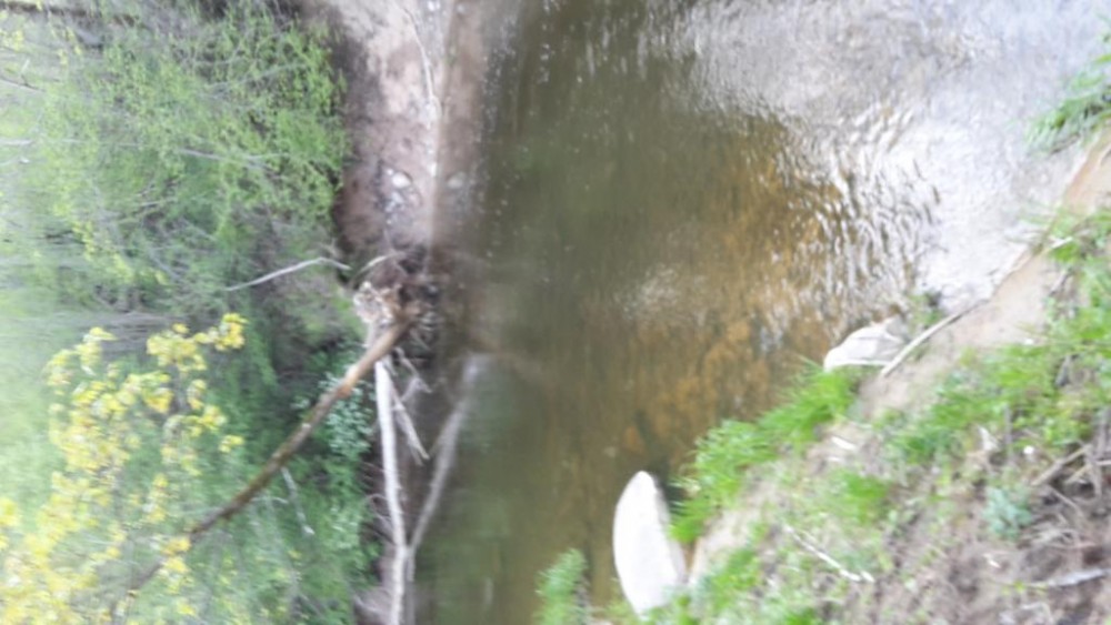 20160508_191348.jpg
