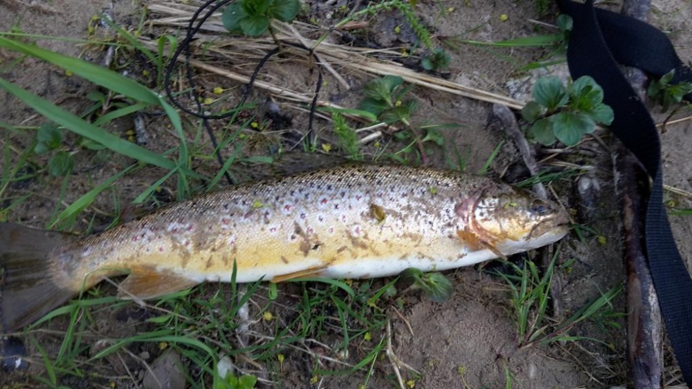 20160508_194319.jpg