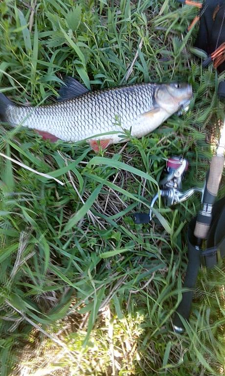 IMG_20160508_093945_1.jpg